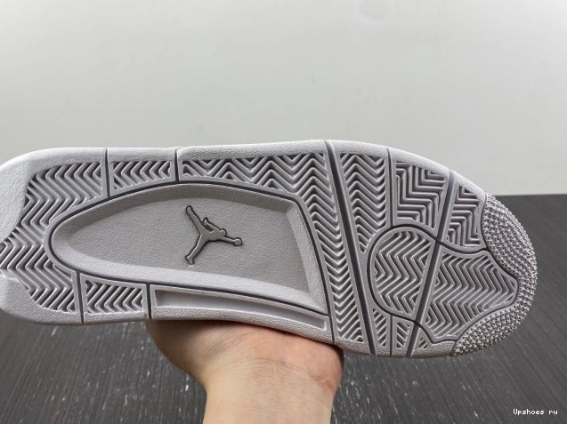 4 Retro 819139-030  Jordan Snakeskin   0301